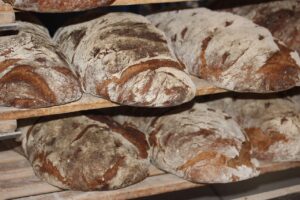 Artisan bread loaves in a bakery setting